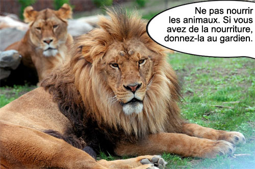lecturel